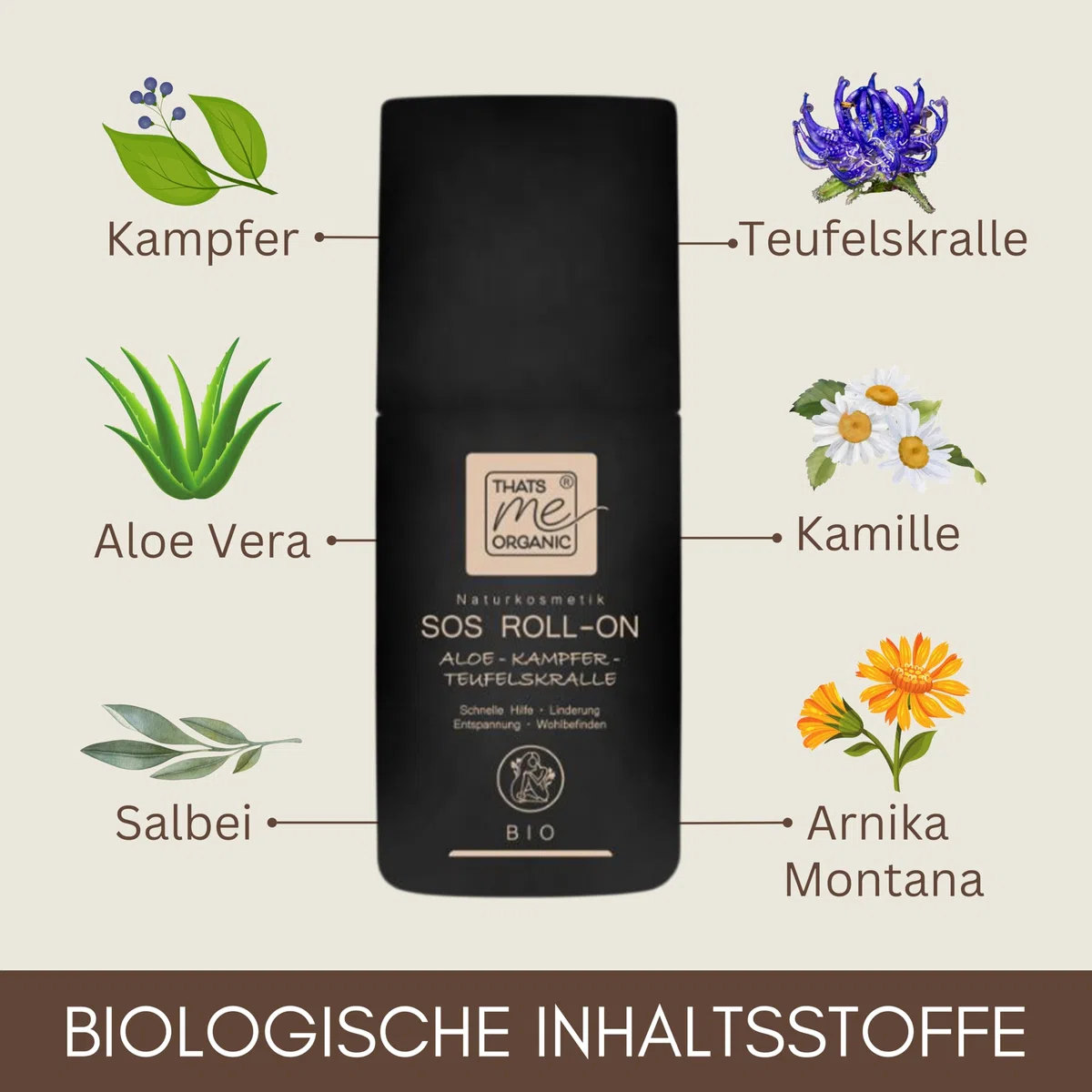 Thats me organic BIO-SOS-ROLL-ON Aloe 50ml – Naturkosmetik mit Arnika, Teufelskralle, Menthol – wärmend und kühlend bei Muskelverspannungen, Insektenstichen, Sonnenbrand, Schmerzen und Allergien