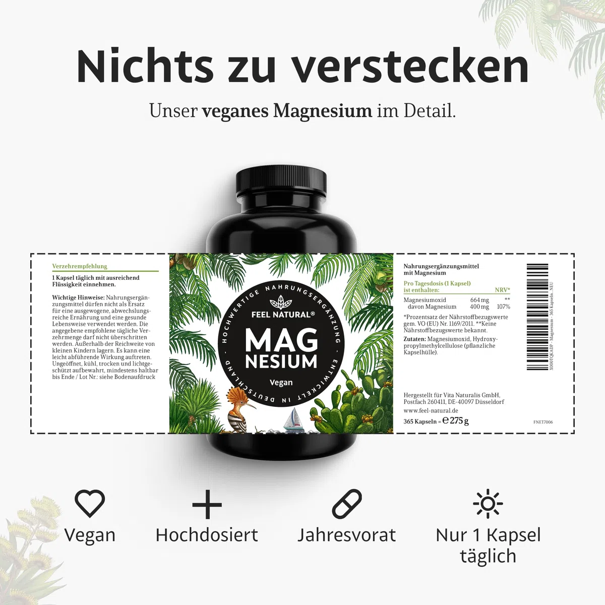 Magnesium hochdosiert Kapseln - 365 Stück (Jahresvorrat) - 664mg je Kapsel, davon 4 00mg elementares Magnesium - höherer Gehalt als andere Magnesiumformen - Laborgeprüft & Vegan