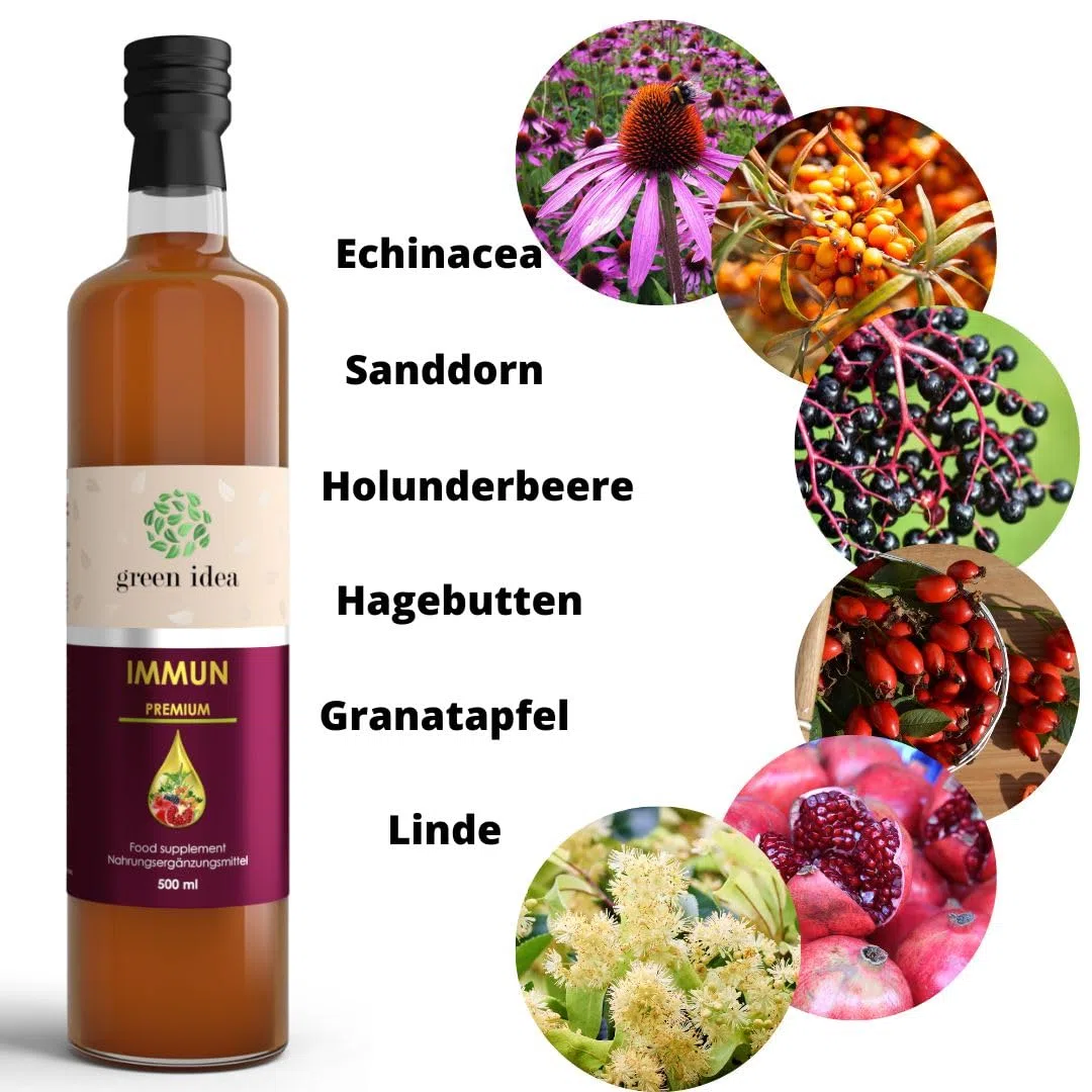 Green idea - IMMUN Sirup mit Echinacea, Beta Glucan 500 ml Spurenelementen und Vitaminen - Immunsystem stärken- große Flasche - ohne künstliche Süßstoffe - Immunsystem-Komplex - Produkt EU - VEGAN