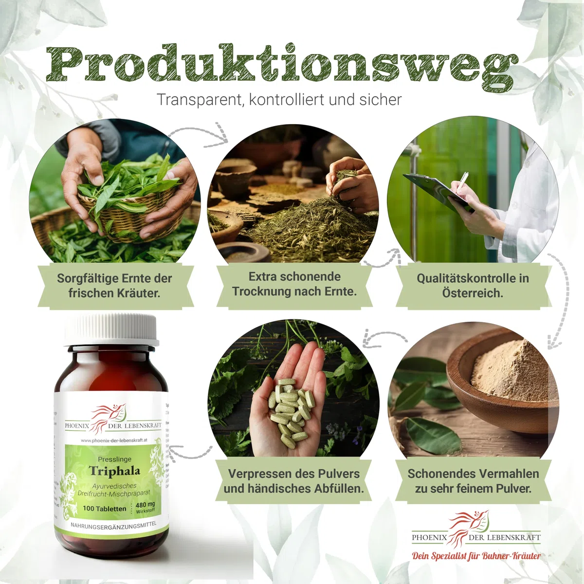 Triphala Tabletten à 480 mg Wirkstoff (Dreifrucht, Haritaki, Amalaki und Bibhitaki), 100 Tabletten, Premium Qualität, Tabletten statt Kapseln, Hergestellt in Österreich, Vegan