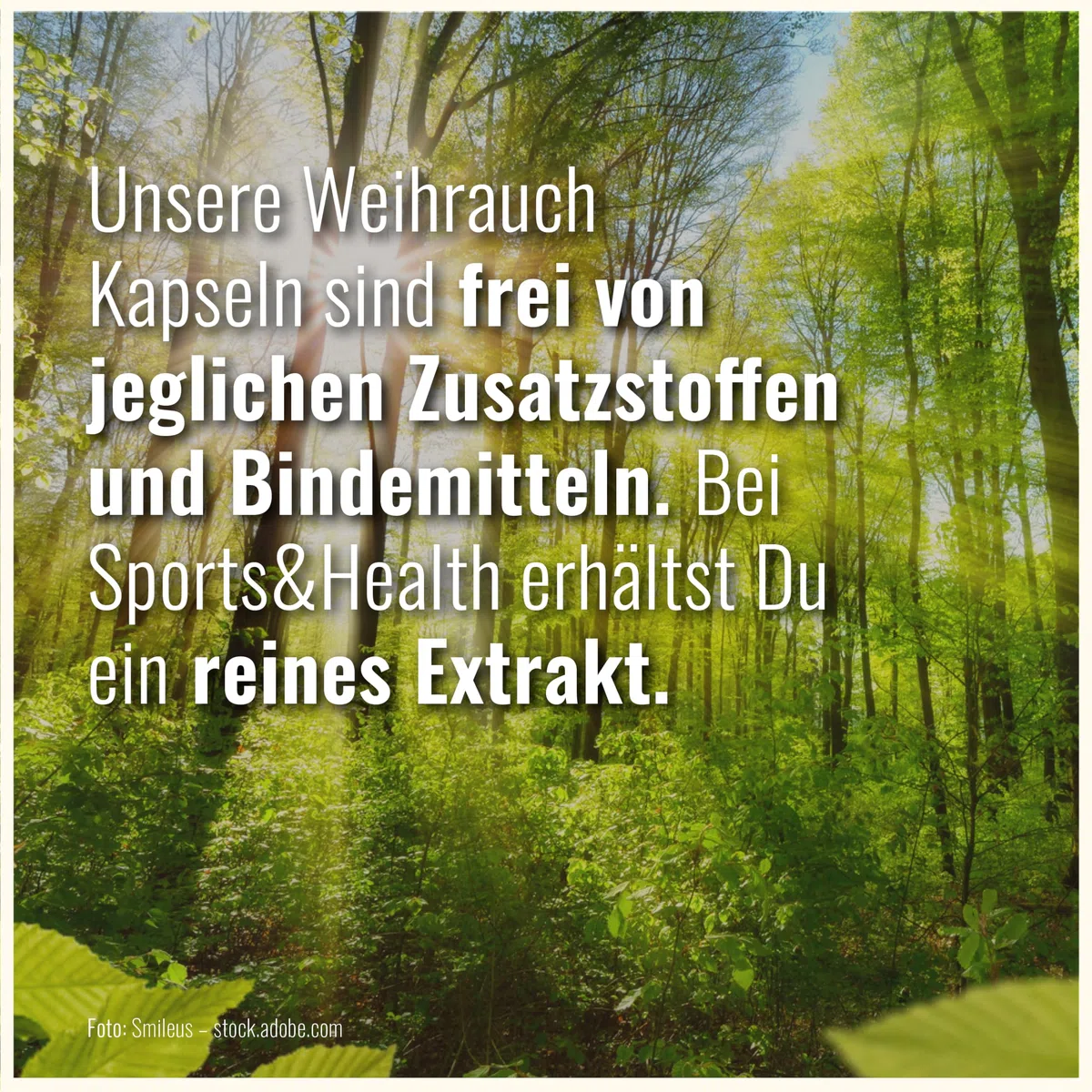Boswellia Serrata Weihrauch – 200 Boswellia Weihrauch Kapseln – Extrakt 85% Boswellia Säuren – vegane Weihrauchkapseln hochdosiert