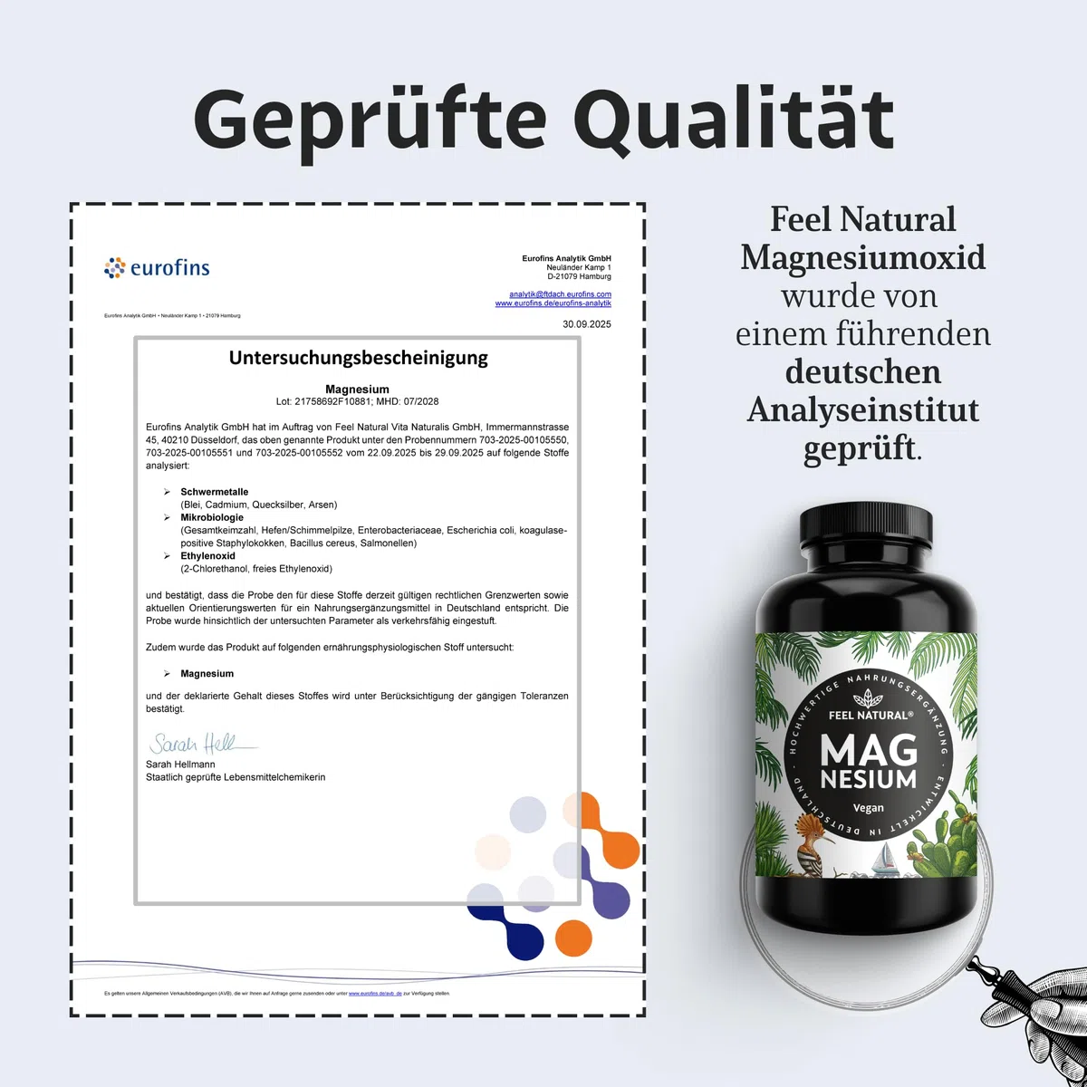 Magnesium hochdosiert Kapseln - 365 Stück (Jahresvorrat) - 664mg je Kapsel, davon 4 00mg elementares Magnesium - höherer Gehalt als andere Magnesiumformen - Laborgeprüft & Vegan