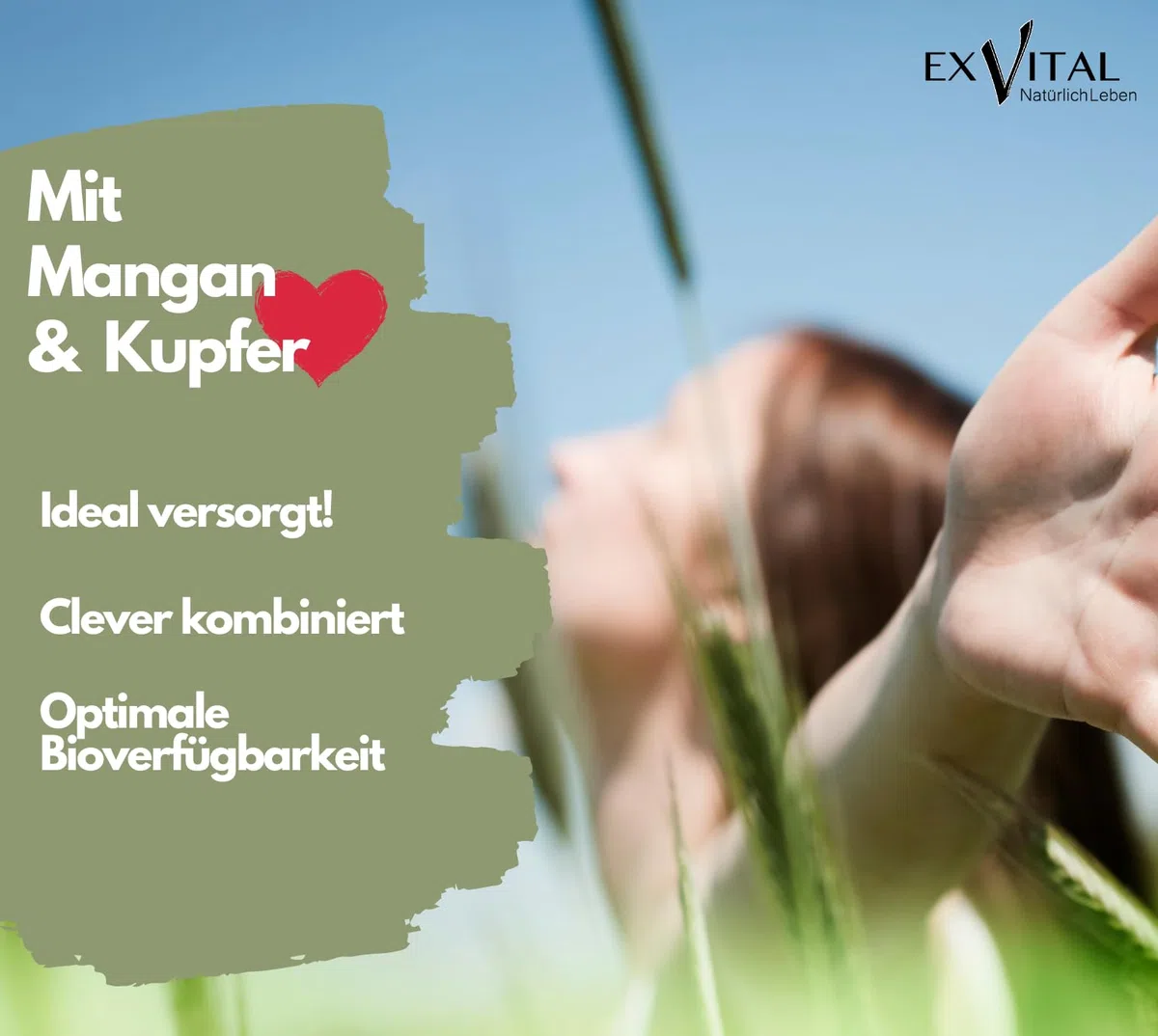 EXVital Brennnessel Kapseln Komplex mit Weinreben & Rosskastanien Extrakt, 800mg Brennnessel Extrakt pro Tag, 120 vegane Kapseln, Clever mit Mangan & Kupfer, vegan & ohne Zusätze