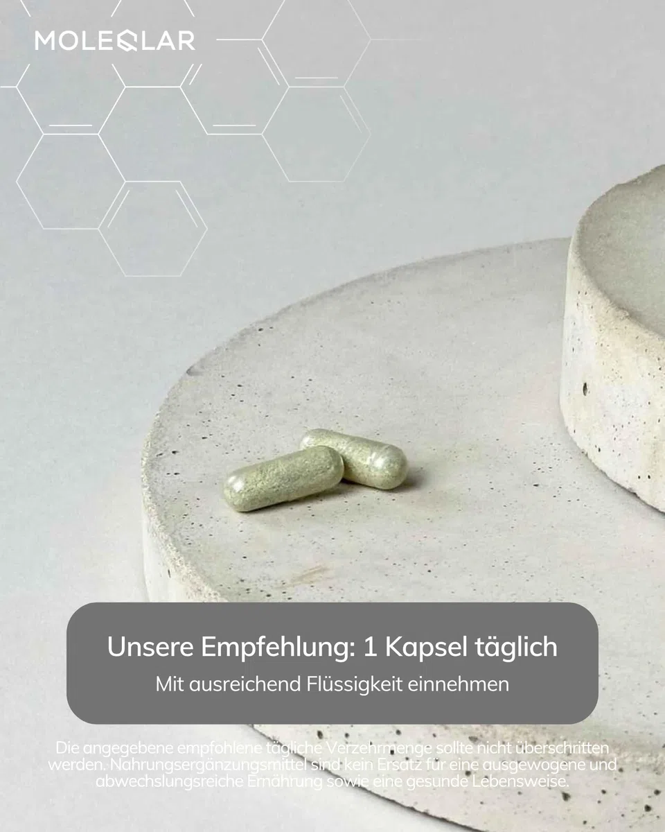 MoleQlar Essentials Formula 30 Kapseln - Vollspektrum-Vitamin und Mineralstoffkomplex in nur einer Kapsel pro Tag - Tägliche Basisabdeckung des Mikronährstoffbedarfs
