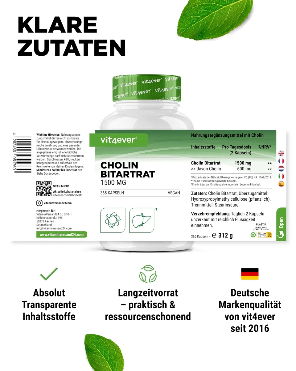 Cholin Kapseln - 365 Kapseln mit 1500 mg Cholin Bitartrat pro Tagesdosis - Über 6 Monate Reichweite - Leber, Homocystein & Fettstoffwechsel - Natürlich, hochdosiert, vegan