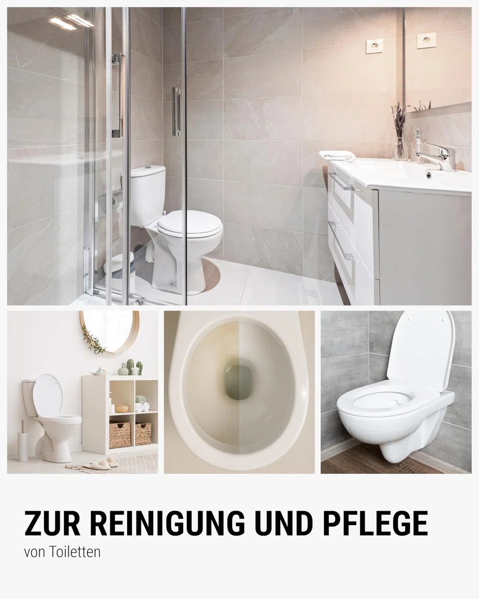 Lorito Beckensteine für Urinal, 1 kg, Fichte-Duft | Urinalsteine mit Fichte-Duft für neue Frische auf dem WC, geeignet in Privat-WCs, Gastronomie & öffentliche Einrichtungen