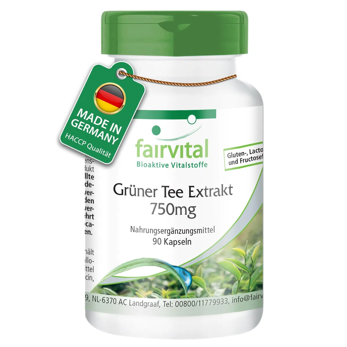 fairvital Grüntee Extrakt, 90 Kapseln, 1500mg Grüntee Extrakt pro Tagesdosis, 50% Polyphenole, 30% Catechine, 15% EGCG, 7% Koffein, HOCHDOSIERT, VEGAN, Camellia Sinensis