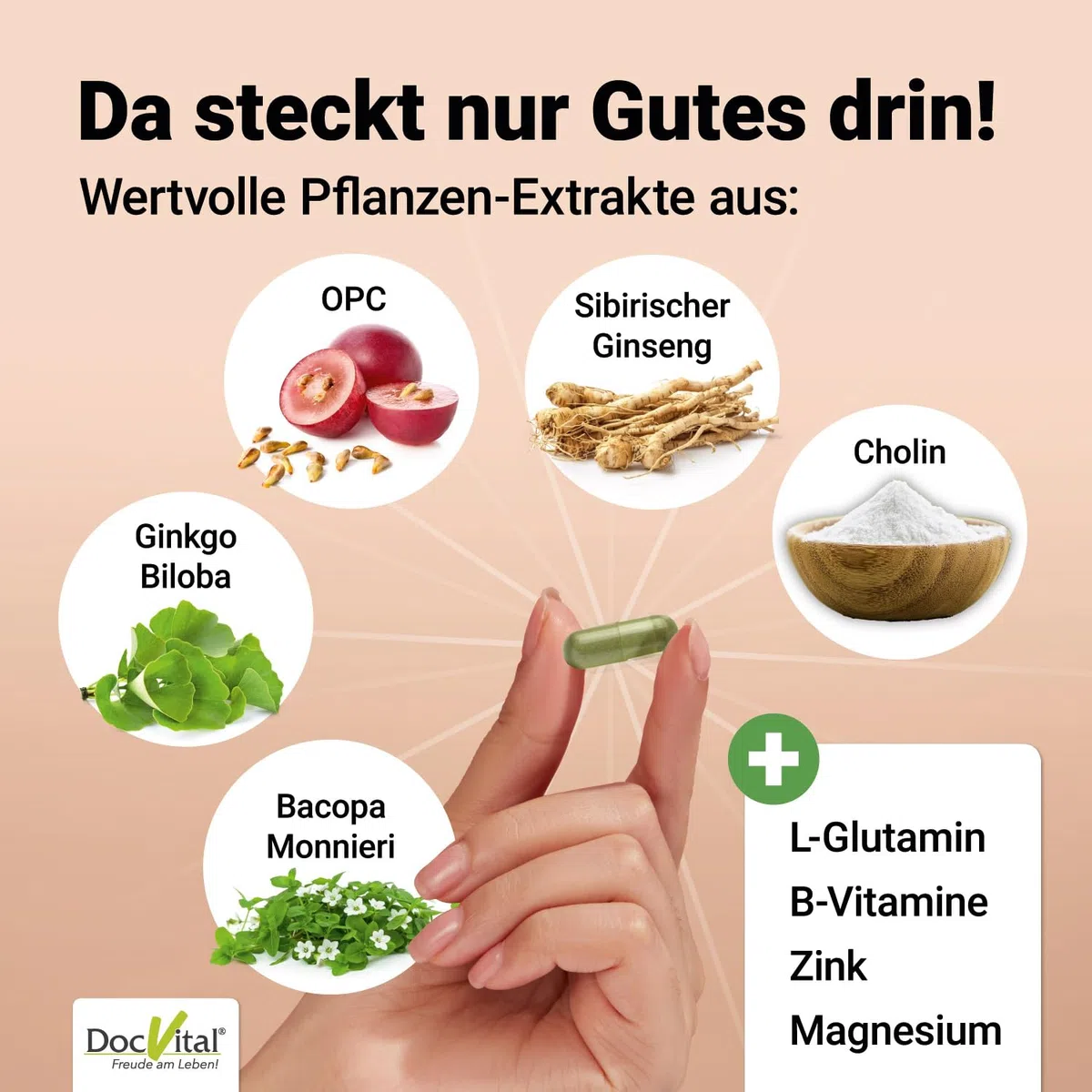 Ginseng Ginkgo Brahmi Kapseln hochdosiert - Gehirn Vital Komplex für Gedächtnis, Fokus und Konzentration - Brain Booster - deutsches Qualitätsprodukt