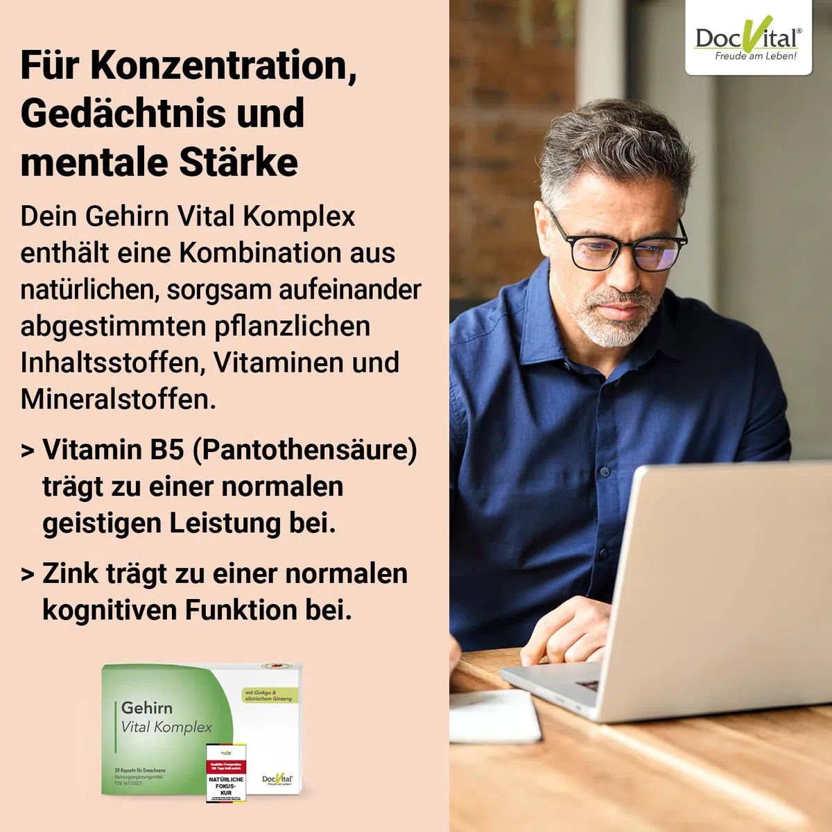 Ginseng Ginkgo Brahmi Kapseln hochdosiert - Gehirn Vital Komplex für Gedächtnis, Fokus und Konzentration - Brain Booster - deutsches Qualitätsprodukt