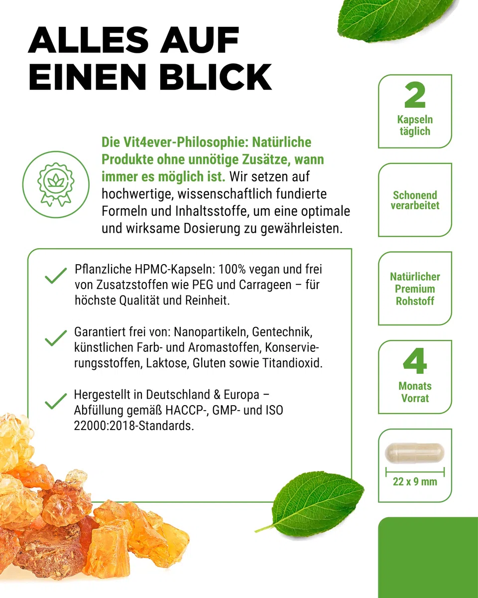 vit4ever Weihrauch Extrakt - 240 vegane Kapseln - 1000 mg pro Tagesportion - Mit 85% Boswelliasäuren aus echtem indischen Boswellia serrata - Hochdosiert & Premiumqualität