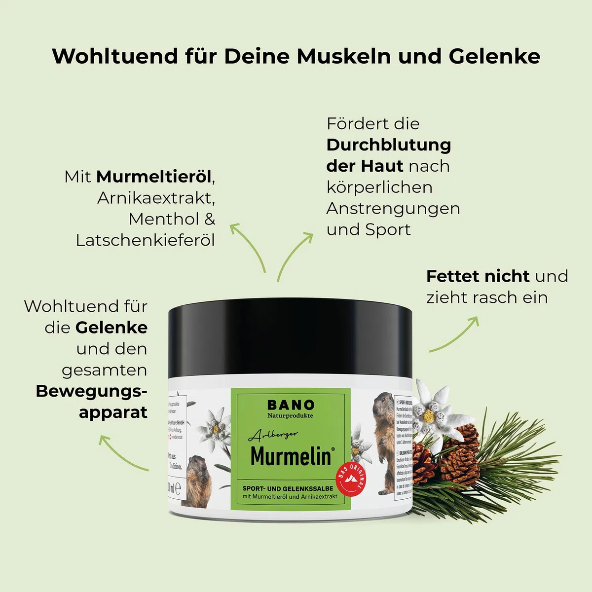 BANO Murmelin Murmeltiersalbe 200 ml | Original Sport- und Gelenksalbe mit Murmeltieröl, Arnika & Menthol |wohltuend bei Verspannungen & nach Sport | Made in Austria