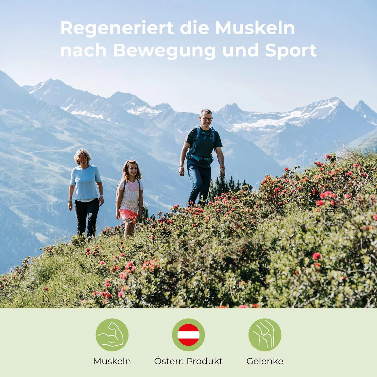 BANO Murmelin Murmeltiersalbe 200 ml | Original Sport- und Gelenksalbe mit Murmeltieröl, Arnika & Menthol |wohltuend bei Verspannungen & nach Sport | Made in Austria