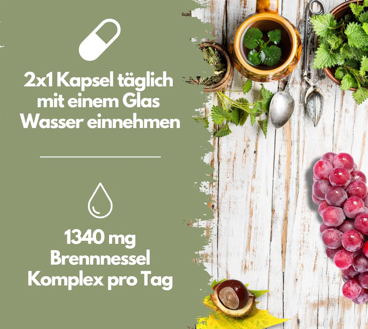 EXVital Brennnessel Kapseln Komplex mit Weinreben & Rosskastanien Extrakt, 800mg Brennnessel Extrakt pro Tag, 120 vegane Kapseln, Clever mit Mangan & Kupfer, vegan & ohne Zusätze