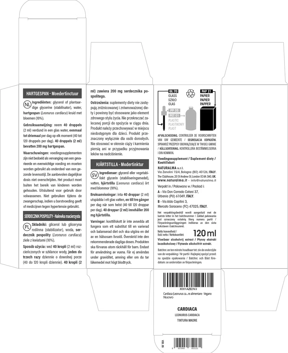 Herzgespann (Leonurus cardiaca) Kraut mit Blüten Alkoholfreier Urtinktur Naturalma - Flüssig-Extrakt Tropfen 120 ml - Nahrungsergänzungsmittel - Veganer