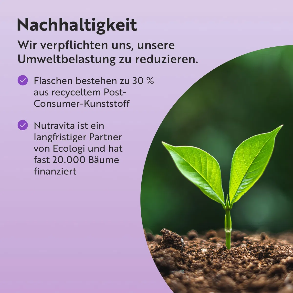 Nutravita Alpha Liponsäure 650 mg - 120 ALA Kapseln - 4-Monatsvorrat - Vegan Alpha Liponsäure Kapseln Hochdosiert Ohne synthetische Bindemittel oder Füllstoffe - Hergestellt im Vereinigten Königreich