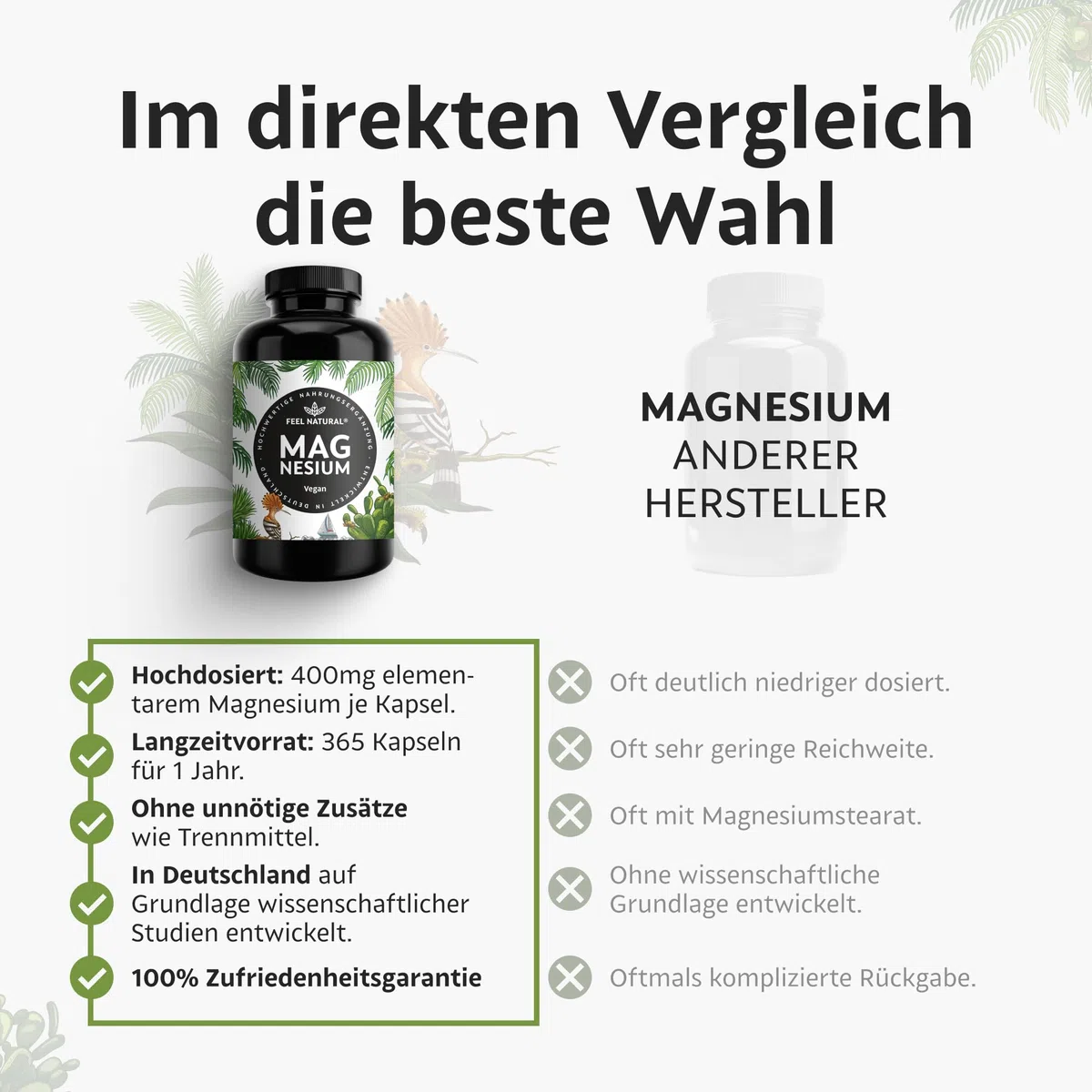 Magnesium hochdosiert Kapseln - 365 Stück (Jahresvorrat) - 664mg je Kapsel, davon 4 00mg elementares Magnesium - höherer Gehalt als andere Magnesiumformen - Laborgeprüft & Vegan