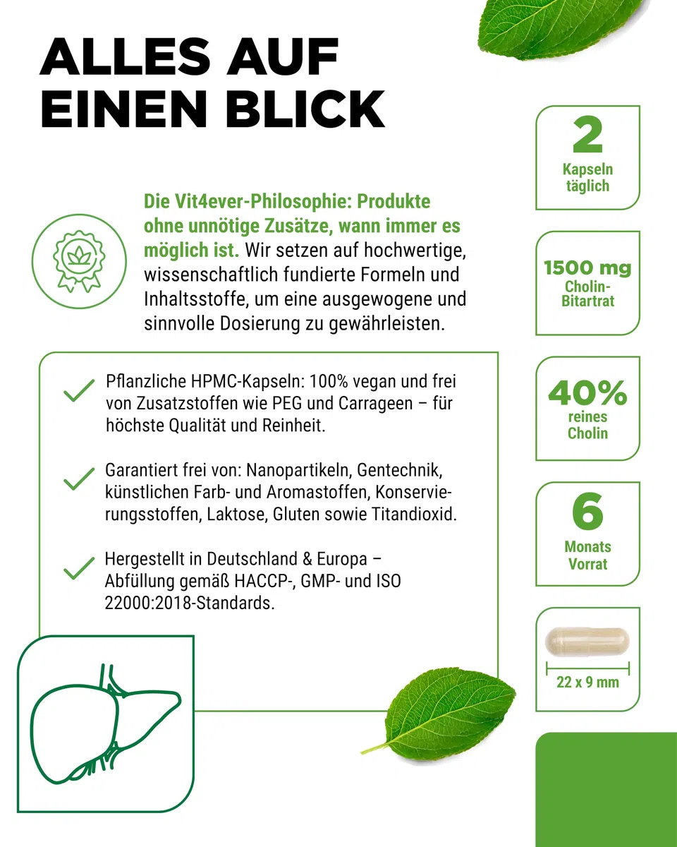 Cholin Kapseln - 365 Kapseln mit 1500 mg Cholin Bitartrat pro Tagesdosis - Über 6 Monate Reichweite - Leber, Homocystein & Fettstoffwechsel - Natürlich, hochdosiert, vegan