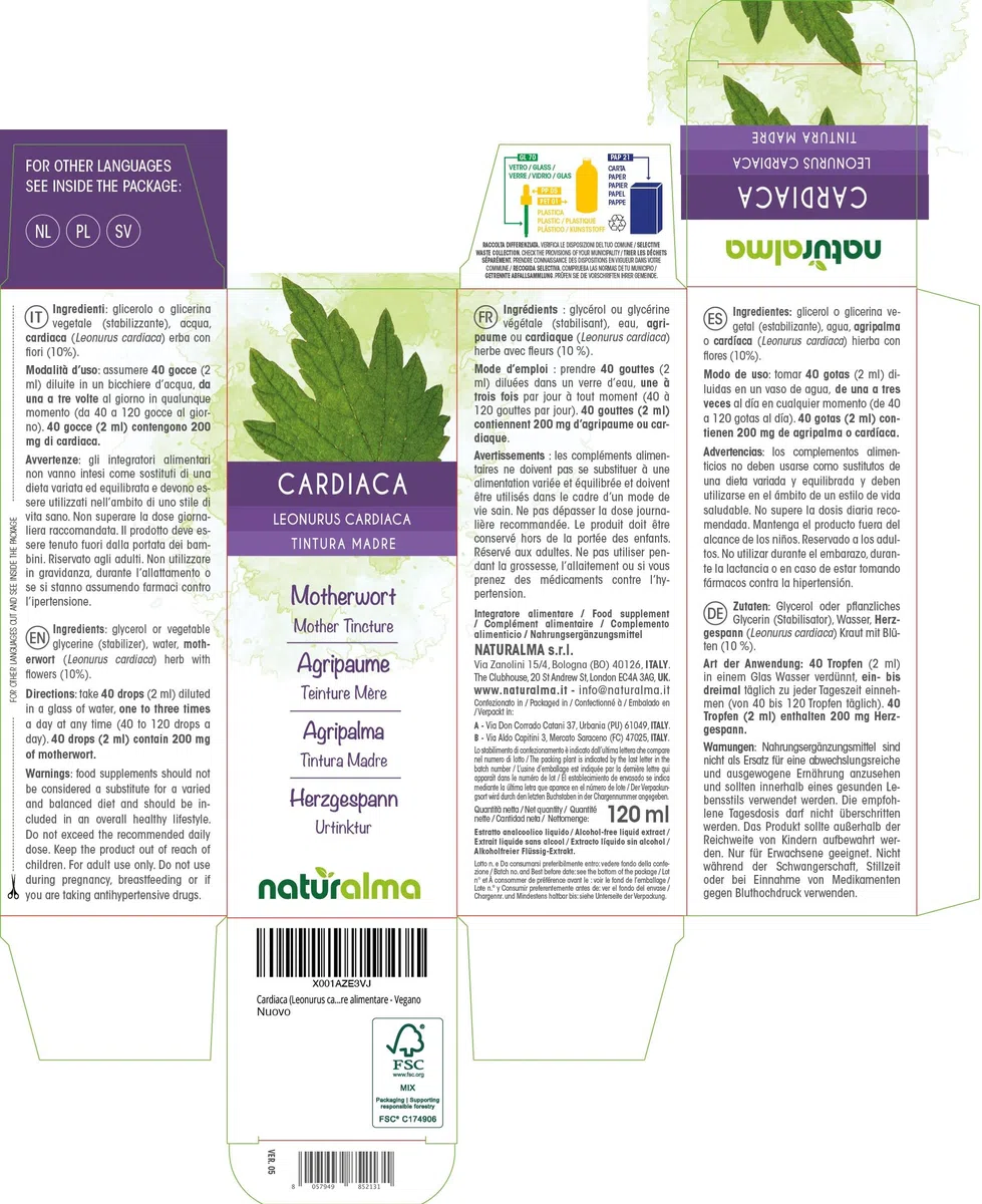Herzgespann (Leonurus cardiaca) Kraut mit Blüten Alkoholfreier Urtinktur Naturalma - Flüssig-Extrakt Tropfen 120 ml - Nahrungsergänzungsmittel - Veganer