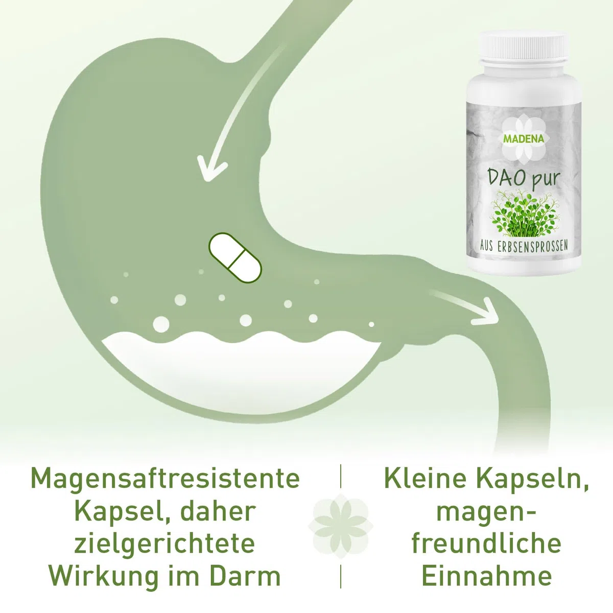 MADENA DAO pur, 120 Kapseln mit Diaminoxidase DAO Enzym hochdosiert aus Erbsensprossen, 100.000 HDU pro Kapsel, vegan und laktosefrei, ideal in Kombination mit MADENA HistaVital & HistaEx