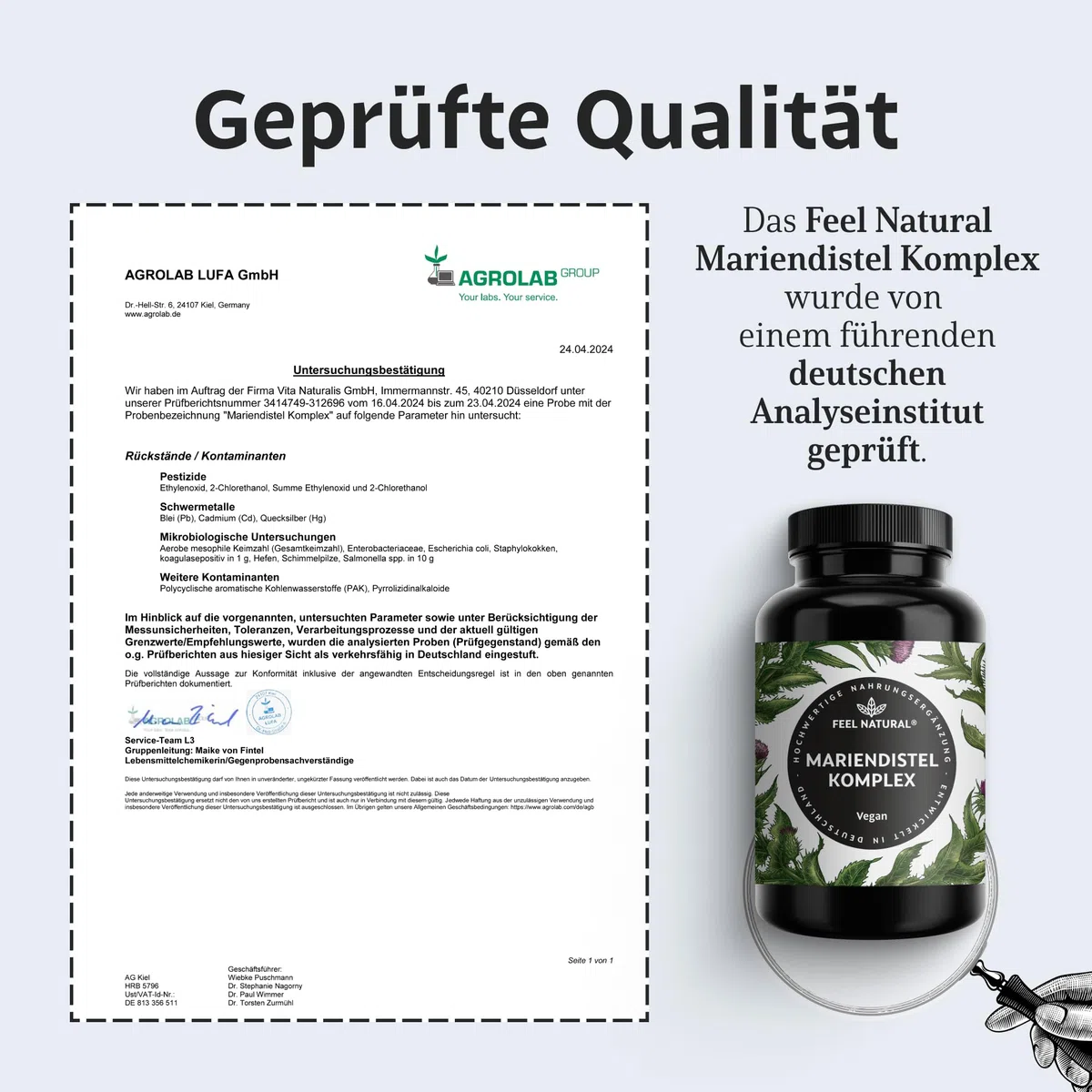 Mariendistel Artischocke Löwenzahn Komplex - Hochwertiger 4-fach Komplex mit Desmodium - Mariendistelextrakt hochdosiert mit 80% Silymarin - 120 vegane Kapseln - Laborgeprüft