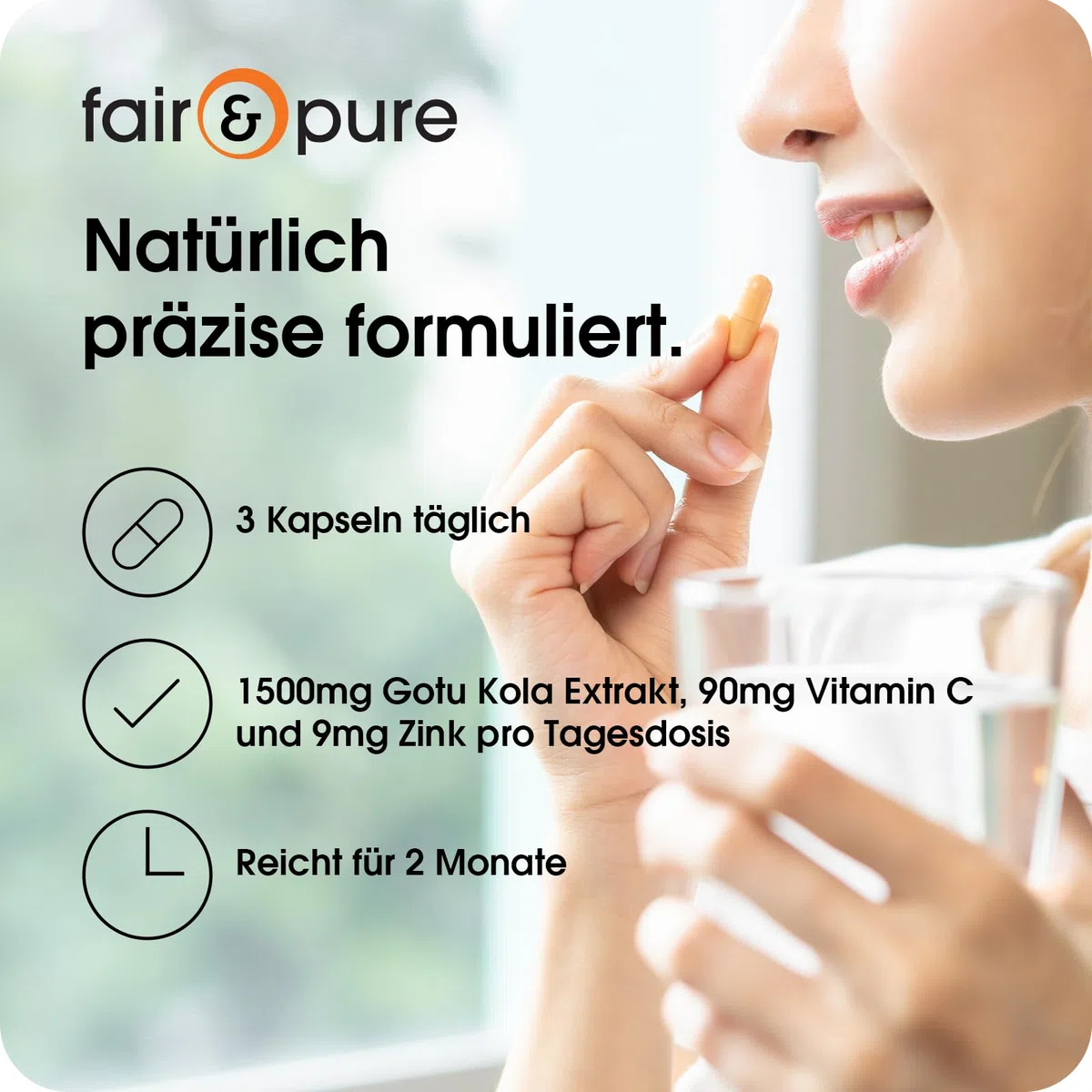 Fair & Pure Gotu Kola Extrakt 1500mg pro Tag, 180 Kapseln, mit Vitamin C und Zink, Nahrungsergänzungsmittel vegan ohne Magnesiumstearat, in Deutschland hergestellt