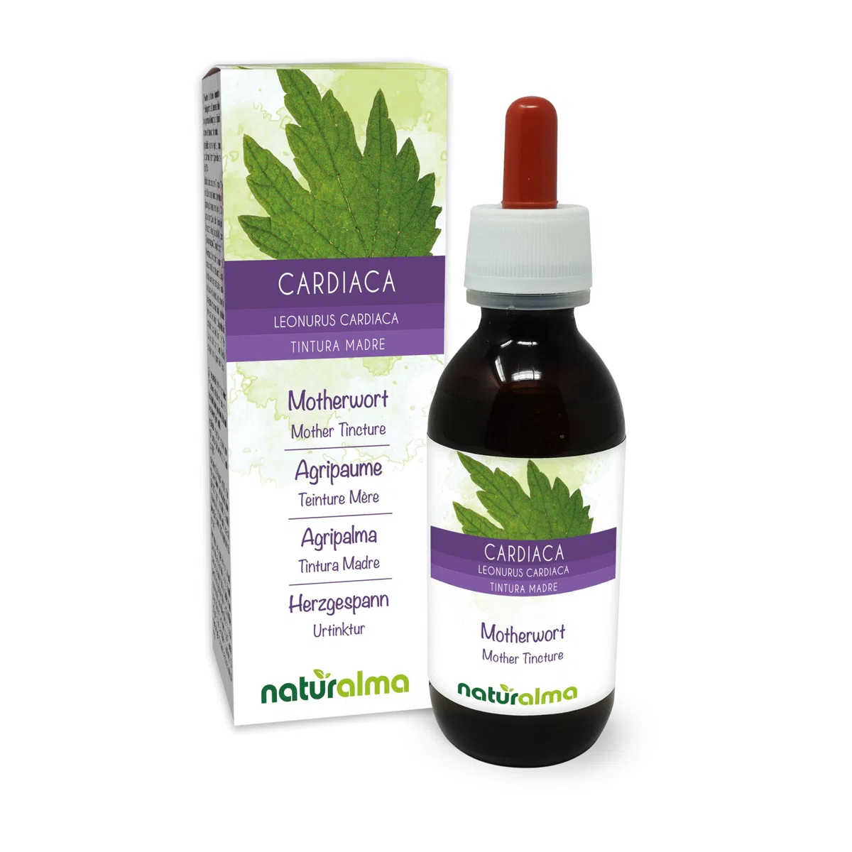Herzgespann (Leonurus cardiaca) Kraut mit Blüten Alkoholfreier Urtinktur Naturalma - Flüssig-Extrakt Tropfen 120 ml - Nahrungsergänzungsmittel - Veganer