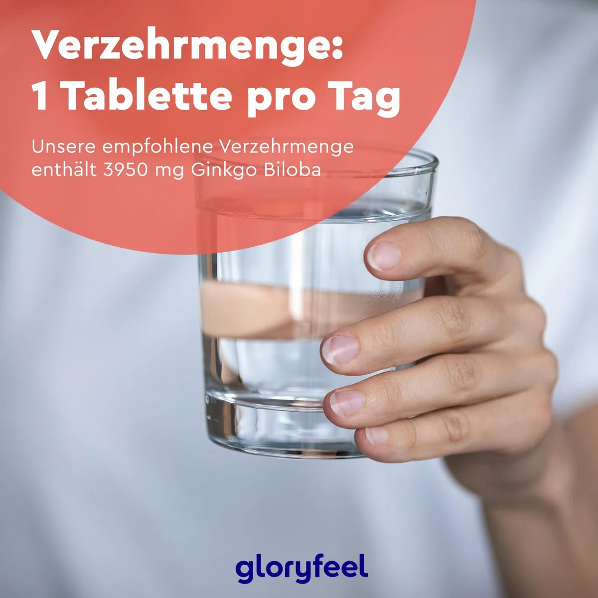 Ginkgo Biloba 3950mg - 365 Tabletten hochdosiert - Mit Flavonoglykoside + Terpenlactone & Ginkgosäurefrei - 50:1 Extrakt - Laborgeprüft, vegan und ohne Zusätze in Deutschland hergestellt