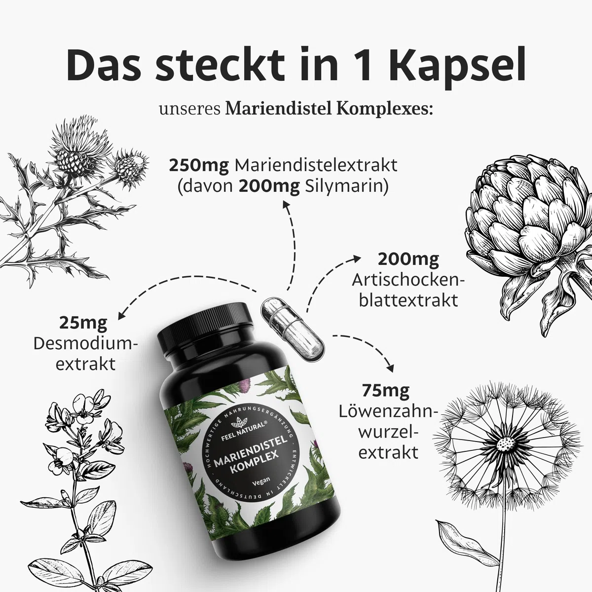 Mariendistel Artischocke Löwenzahn Komplex - Hochwertiger 4-fach Komplex mit Desmodium - Mariendistelextrakt hochdosiert mit 80% Silymarin - 120 vegane Kapseln - Laborgeprüft
