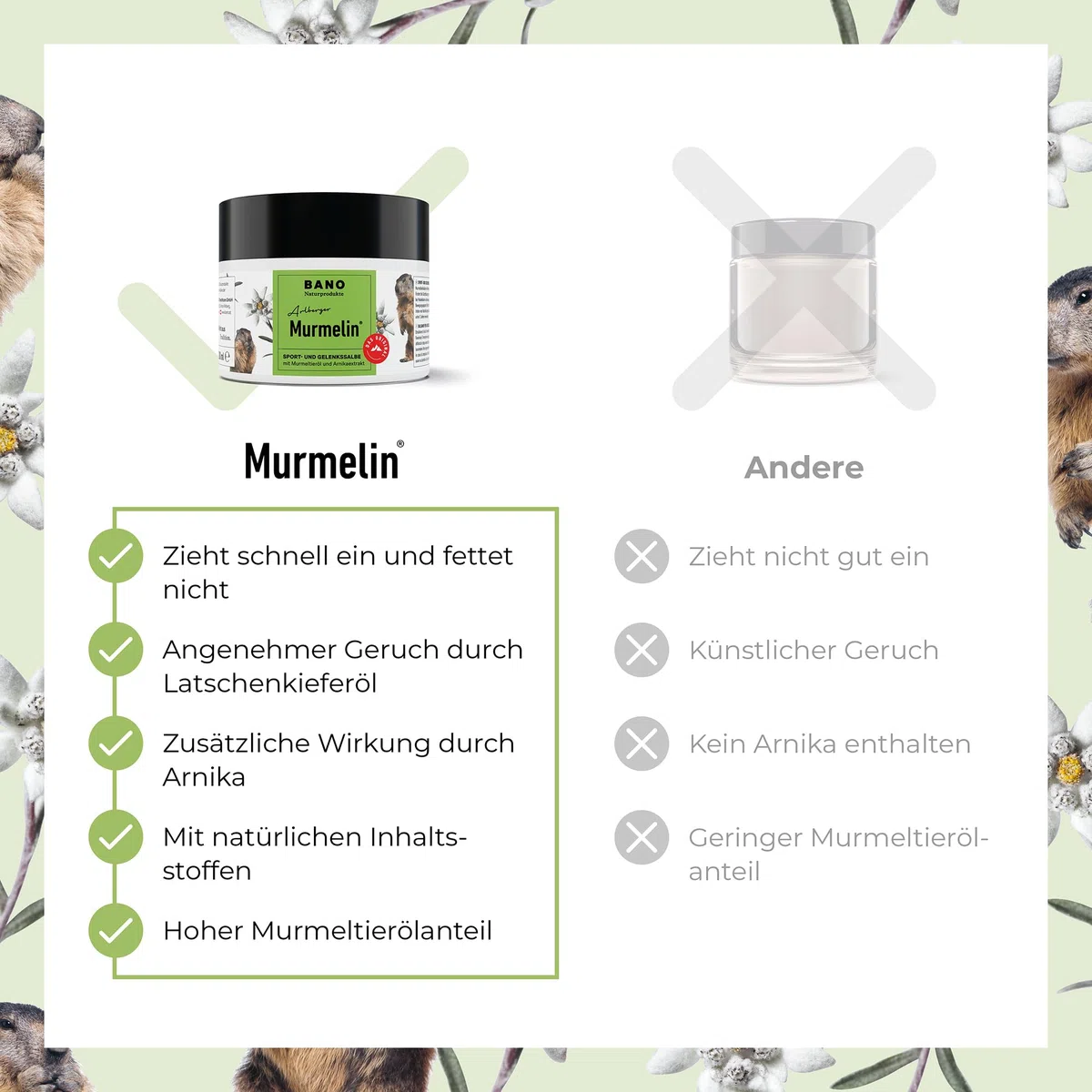 BANO Murmelin Murmeltiersalbe 200 ml | Original Sport- und Gelenksalbe mit Murmeltieröl, Arnika & Menthol |wohltuend bei Verspannungen & nach Sport | Made in Austria