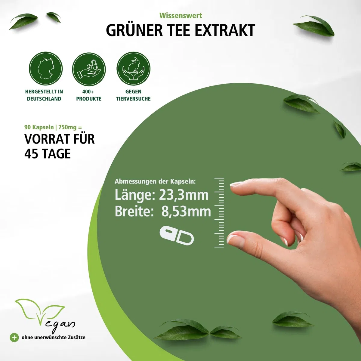 fairvital Grüntee Extrakt, 90 Kapseln, 1500mg Grüntee Extrakt pro Tagesdosis, 50% Polyphenole, 30% Catechine, 15% EGCG, 7% Koffein, HOCHDOSIERT, VEGAN, Camellia Sinensis