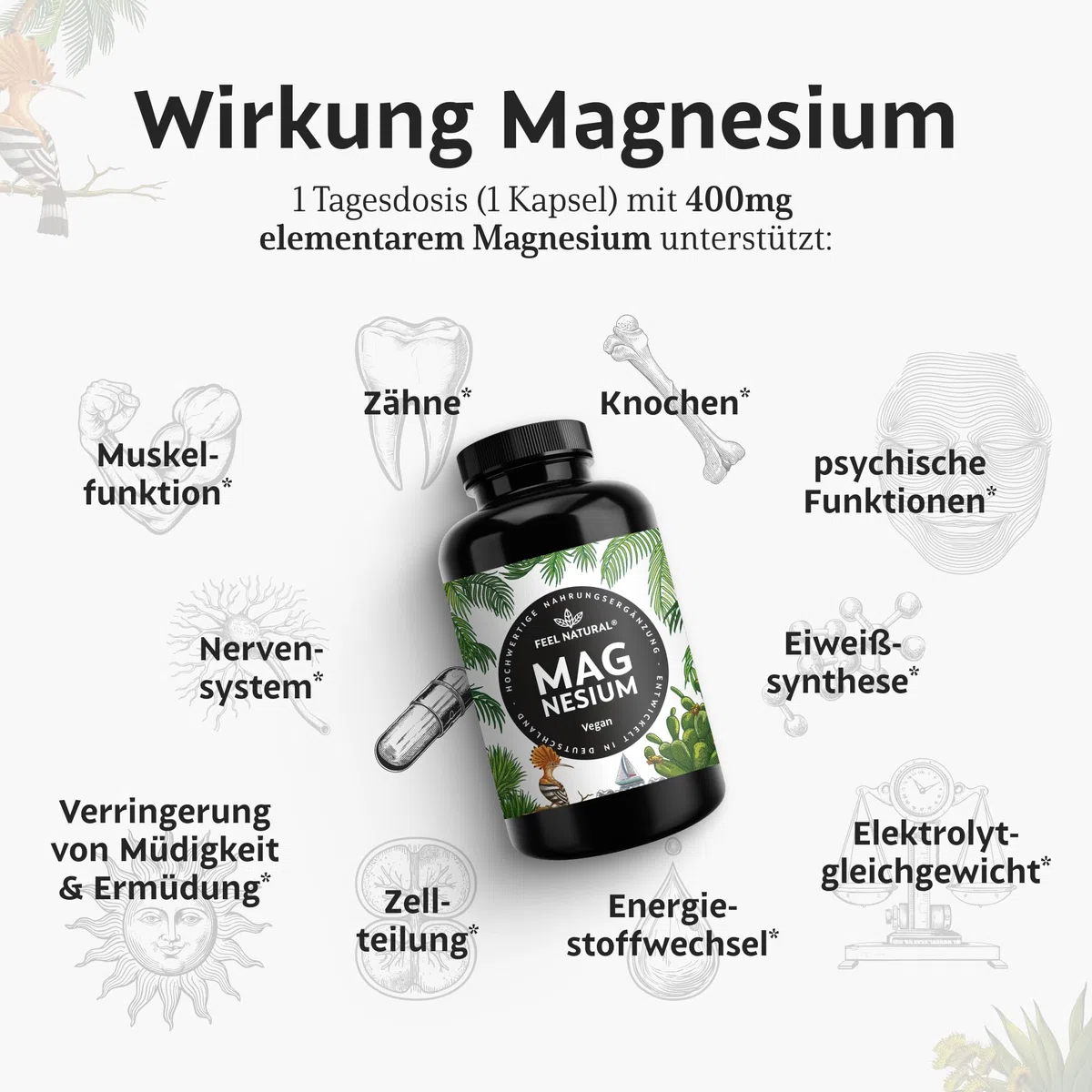 Magnesium hochdosiert Kapseln - 365 Stück (Jahresvorrat) - 664mg je Kapsel, davon 4 00mg elementares Magnesium - höherer Gehalt als andere Magnesiumformen - Laborgeprüft & Vegan