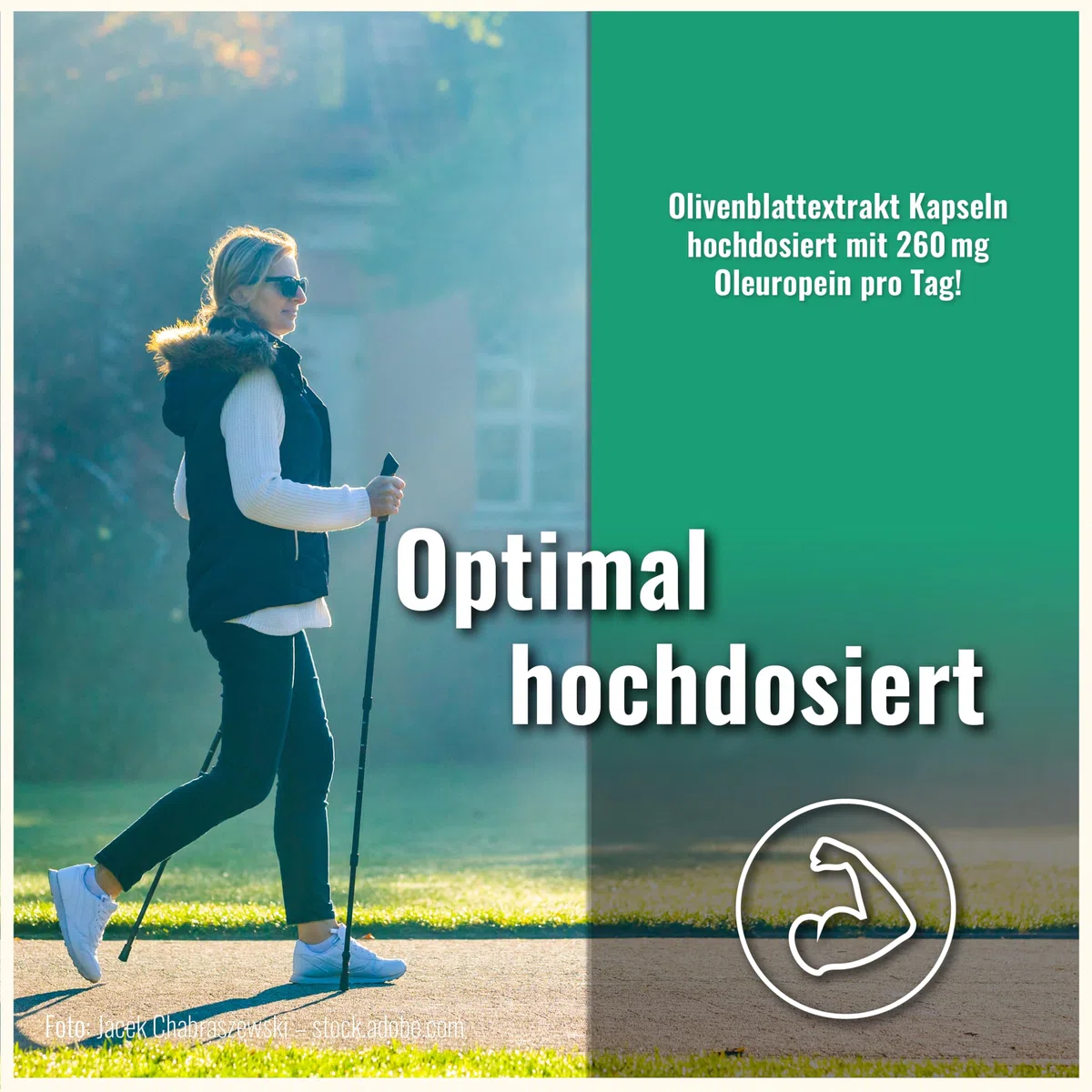 Olivenblattextrakt Kapseln – 200 Olivenblatt Kapseln mit 650mg – olive leaf extract – Olivenblätter