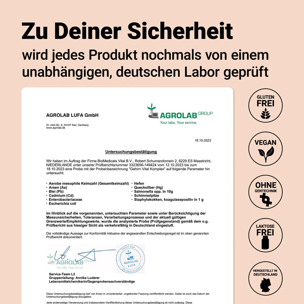 Ginseng Ginkgo Brahmi Kapseln hochdosiert - Gehirn Vital Komplex für Gedächtnis, Fokus und Konzentration - Brain Booster - deutsches Qualitätsprodukt