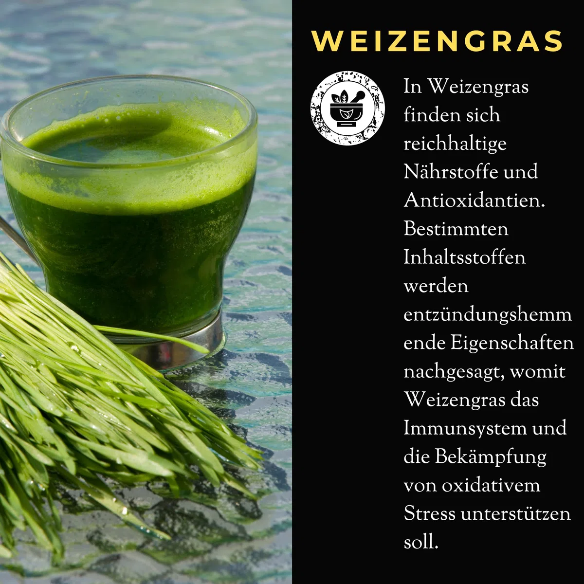 Weizengrassaft 100% Direktsaft (500ml), laborgeprüft