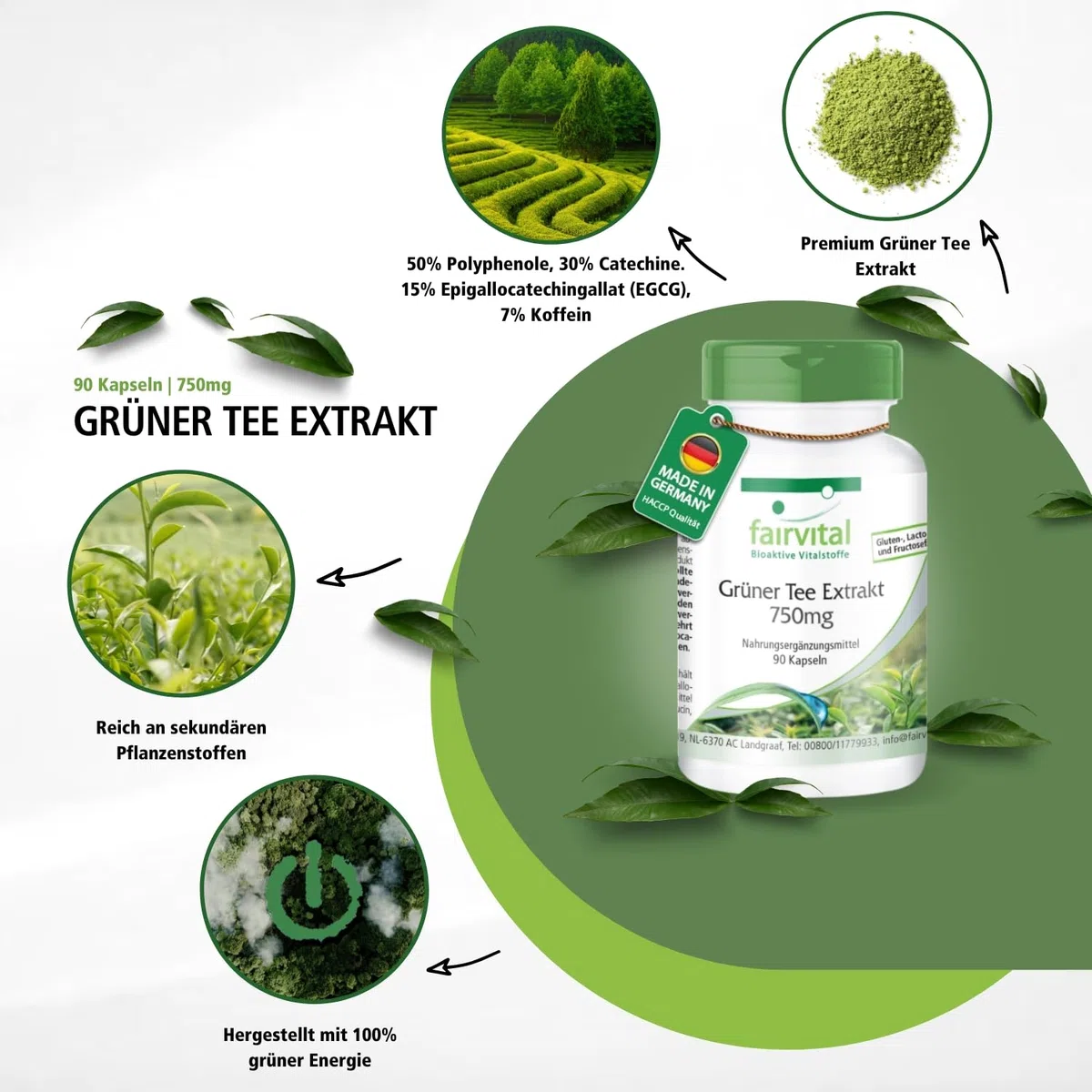fairvital Grüntee Extrakt, 90 Kapseln, 1500mg Grüntee Extrakt pro Tagesdosis, 50% Polyphenole, 30% Catechine, 15% EGCG, 7% Koffein, HOCHDOSIERT, VEGAN, Camellia Sinensis