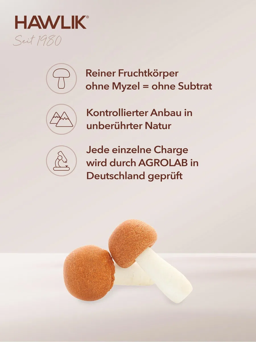 HAWLIK Vitalpilze Agaricus Pulver - 100g im Standbodenbeutel - Ideal Zum Untermischen - Natürlicher Anbau - Schonende Trocknung - Vegan