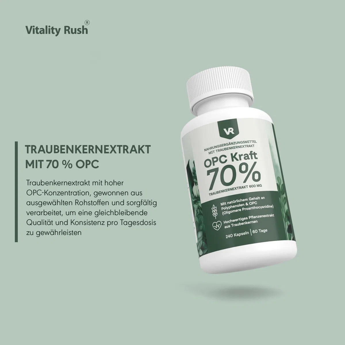 OPC Kraft 70% – Traubenkernextrakt 600mg pro Tagesdosis – 240 Kapseln – Mit Vitamin C, Zink & Selen – Vegan & Hochwertig