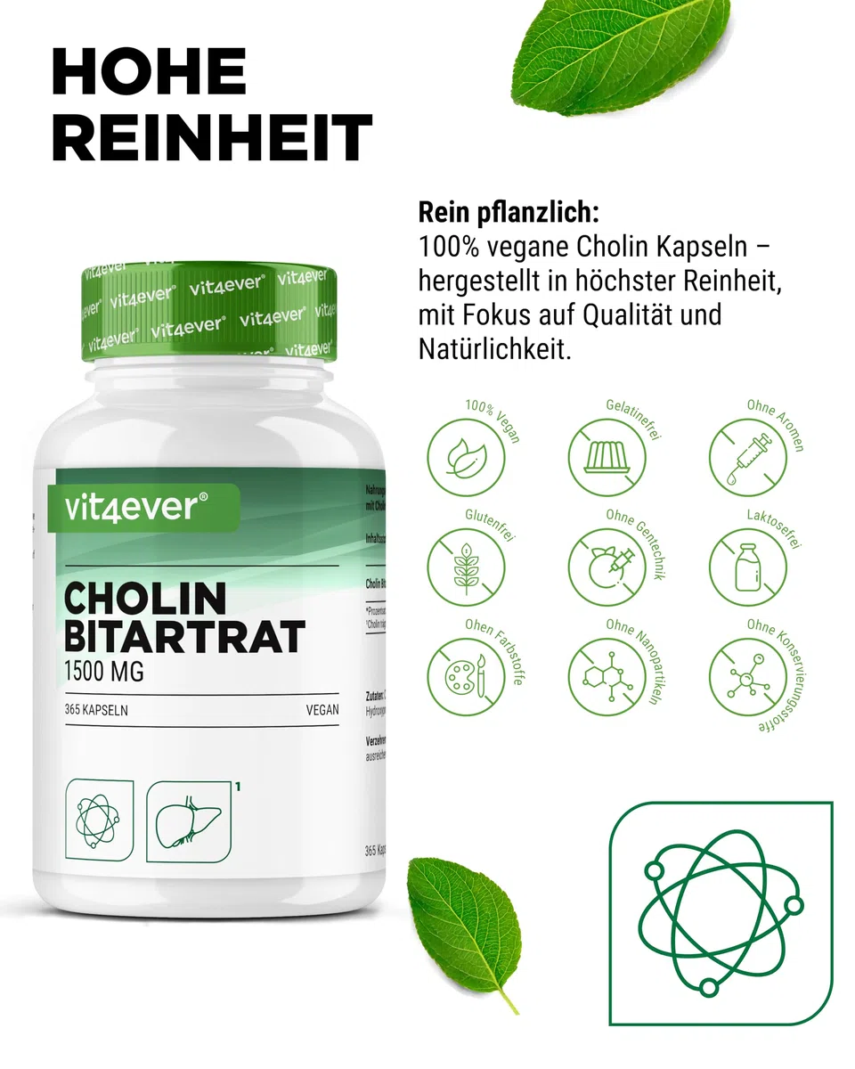 Cholin Kapseln - 365 Kapseln mit 1500 mg Cholin Bitartrat pro Tagesdosis - Über 6 Monate Reichweite - Leber, Homocystein & Fettstoffwechsel - Natürlich, hochdosiert, vegan
