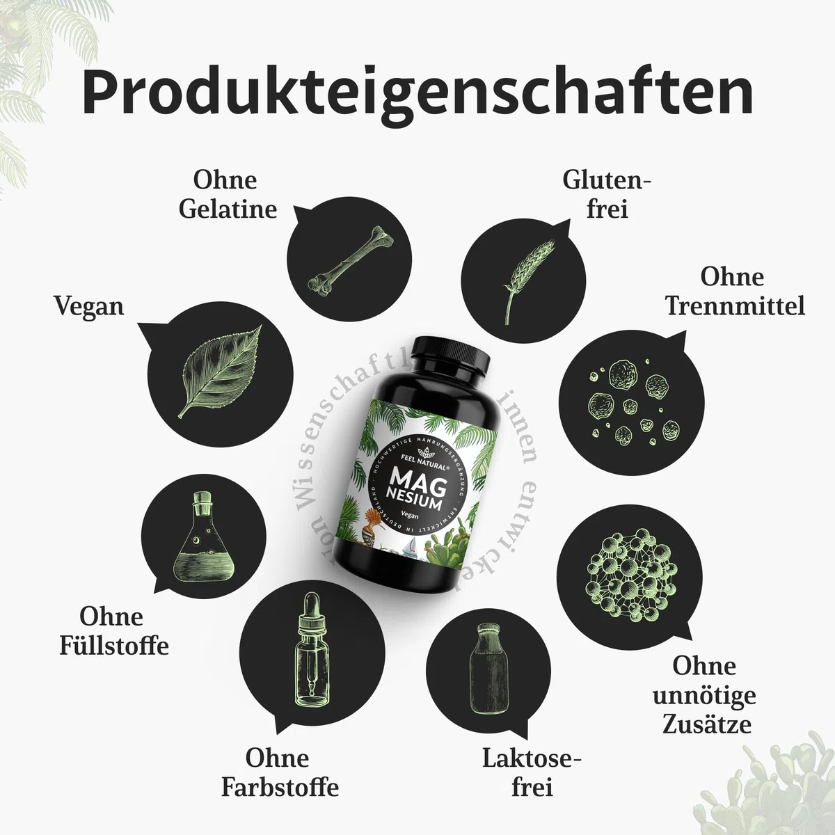 Magnesium hochdosiert Kapseln - 365 Stück (Jahresvorrat) - 664mg je Kapsel, davon 4 00mg elementares Magnesium - höherer Gehalt als andere Magnesiumformen - Laborgeprüft & Vegan
