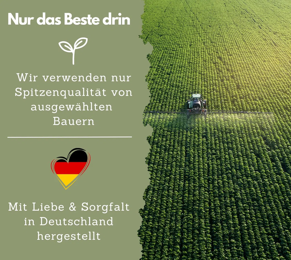 EXVital Brennnessel Kapseln Komplex mit Weinreben & Rosskastanien Extrakt, 800mg Brennnessel Extrakt pro Tag, 120 vegane Kapseln, Clever mit Mangan & Kupfer, vegan & ohne Zusätze