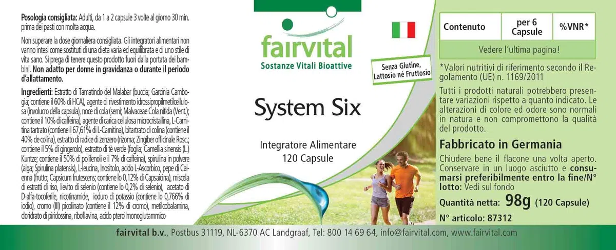 fairvital System Six, VEGAN, 120 Kapseln, mit Chrom, Jod, L-Carnitin, Grüner Tee, Spirulina, Garcinia Cambogia und mehr