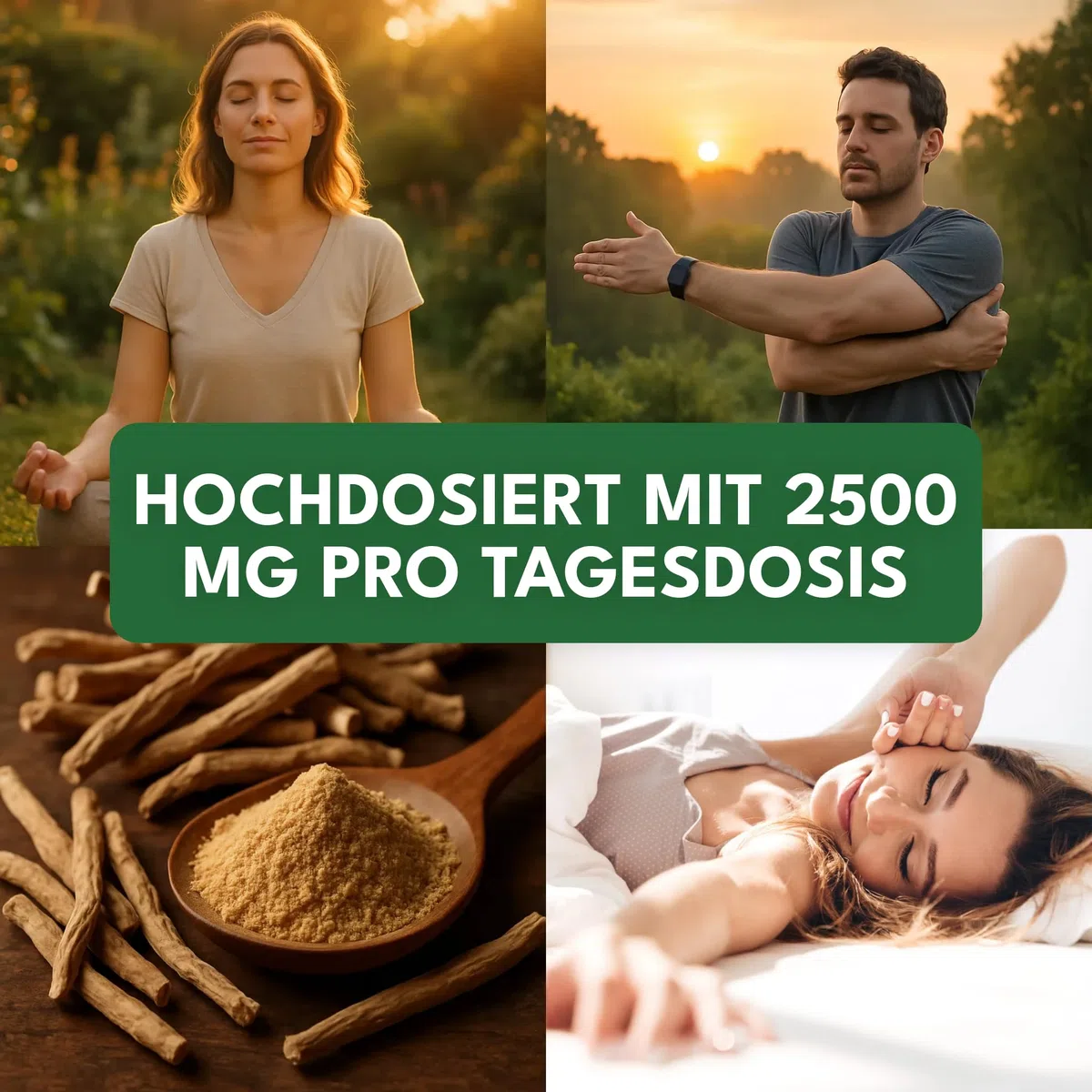 Green Naturals Ashwagandha – Hochdosiert: 2.500 mg Wurzel-Extrakt | 127 mg Withanolide · Ohne Ethanol-Extraktion · 180 Kapseln · 2-Monatsvorrat