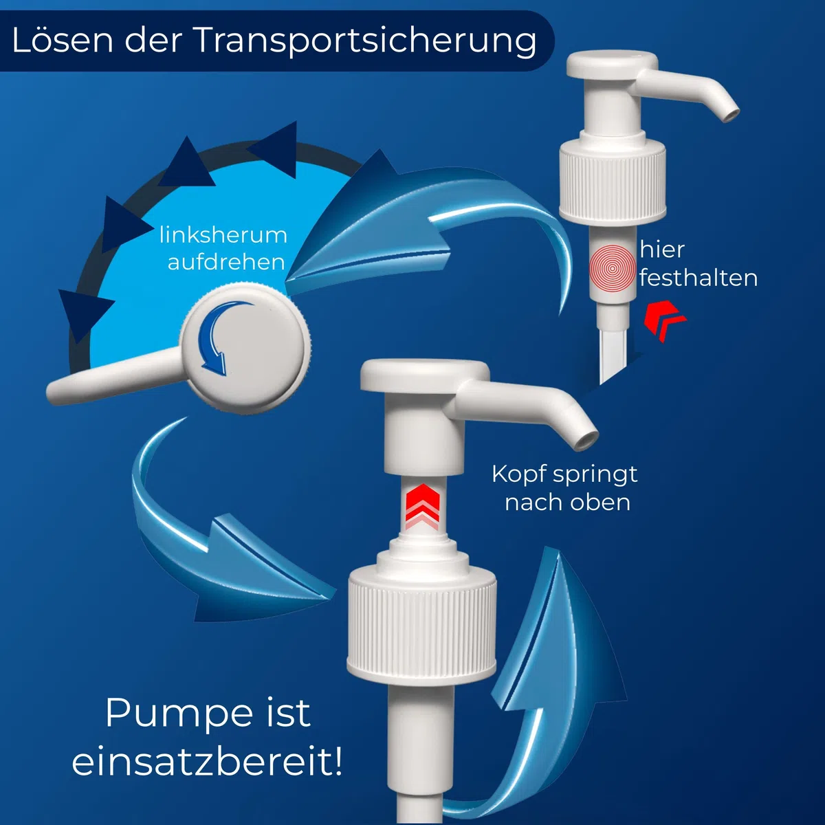 Dosierpumpen (2 Stück) mit Sterillium Händedesinfektionsmittel (2 x 500 ml)